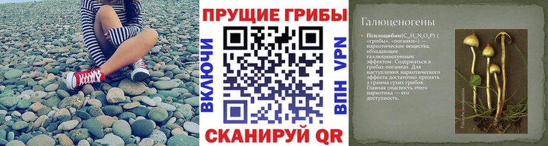 Галлюциногенные грибы ЛСД  как найти   Моздок 