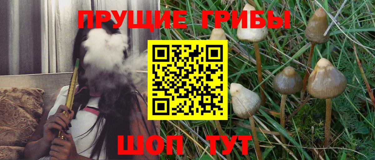 Галлюциногенные грибы GOLDEN TEACHER  Псилоцибиновые грибы Magic Shrooms  Моздок 