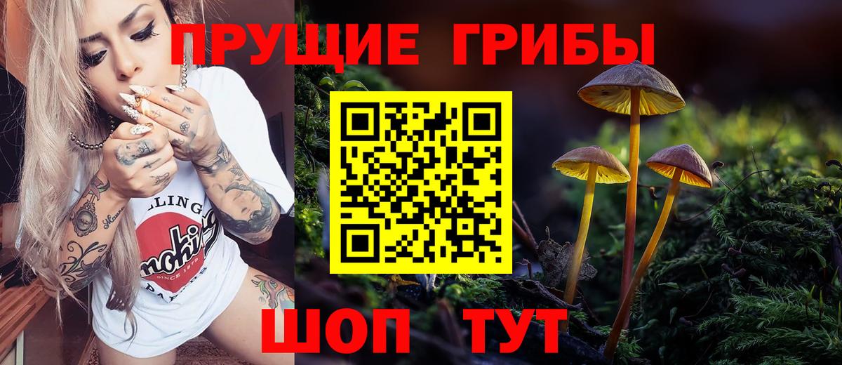 Псилоцибиновые грибы Cubensis Моздок