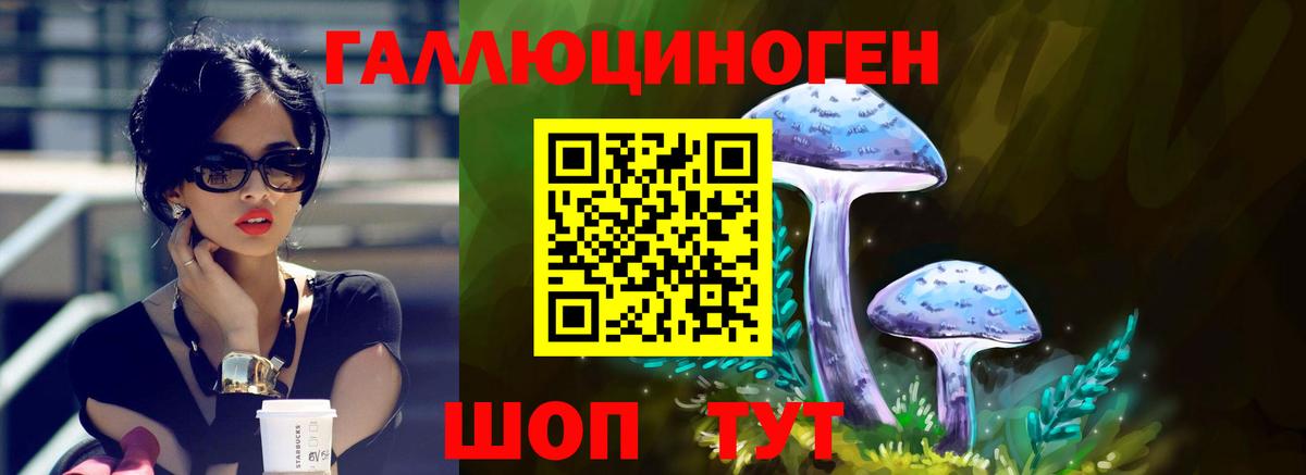 Псилоцибиновые грибы Psilocybine cubensis Моздок